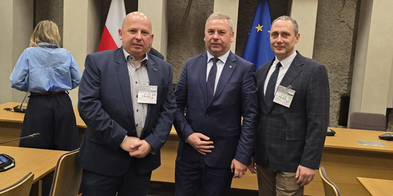 Podkomisja stała do spraw Sprawiedliwej Transformacji